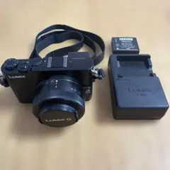 2026年最新】lumix gm5の人気アイテム - メルカリ