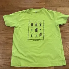 専用⚠️mont-bell 昆虫デザイン Tシャツ 140