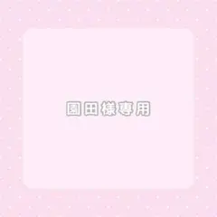 園田様 リクエスト 3点 まとめ商品