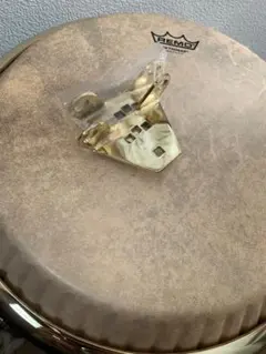 Item thumbnail for item 86804074-c8df-4c41-9933-5b428096c47b