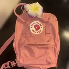FJALLRAVEN KANKEN リュック ピンクのサムネイル