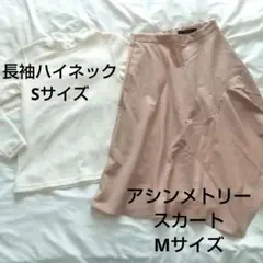 ZARAスカート&GLACIERタートルセット