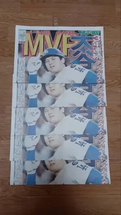 さくちゃん様 リクエスト 2点 まとめ商品