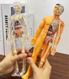 Item thumbnail for item 3bc5781f-ccf0-45d1-8302-65f0e69683ae