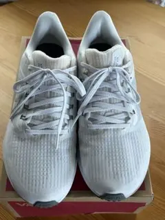 NIKE エア ズーム ペガサス39(25cm)