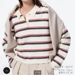 マルチボーダーポロセーター