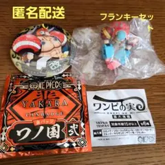 ワンピース フランキーセット