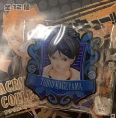 ☆ ハイキュー!! アクリルバッジコレクション　影山飛雄