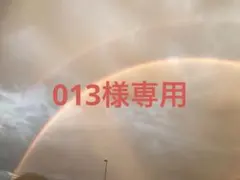 013様専用ページ