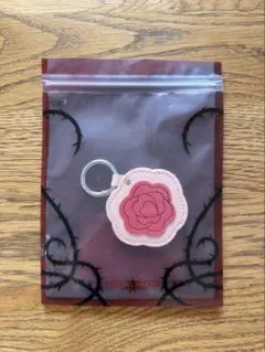 新品未使用】HANA Born to Bloom ミラーチャーム - メルカリ