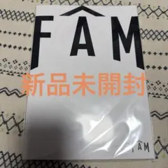 【新品未開封】FAM パンフレット　timelesz ライブグッズ