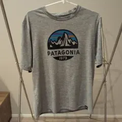 パタゴニア　Patagonia Tシャツ Sサイズ グレー