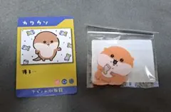 ナガノの水族館　カワウソ　アクリルバッジ　ノベルティカード
