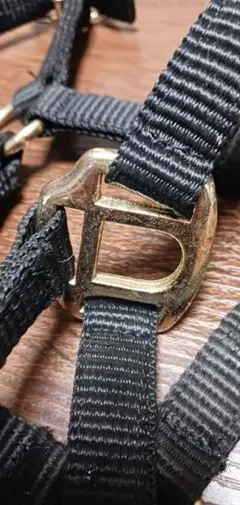 Item thumbnail for item ec694105-5cd6-48c5-8ea8-fa138bd0ec0c