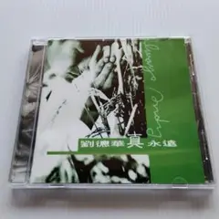 アンディ ラウ 劉徳華 / CD　VCD　オムニバス　まとめ売り アンディ ラウ 劉徳華 / CD VCD オムニバス まとめ売り
