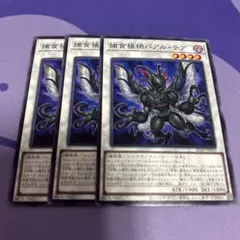 [YGO0005]遊戯王 捕食植物バアル・テア 3枚セット