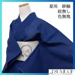 未着用　色無地　夏用　紗紬　ブルー　紋無し　夏紬　着物　043a d