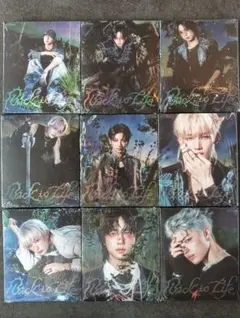 &TEAM Back to Life ROARver.　ソロジャケコンプセット