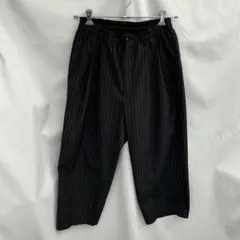 コムデギャルソンオムプリュス 99AWエルメス期 ストライプサルエル
