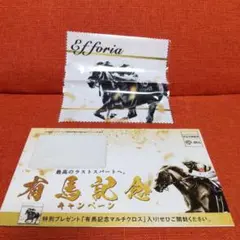 # エフフォーリア 有馬記念 マルチクロス 新品