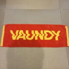 2026年最新】VAUNDy タオル レッドの人気アイテム - メルカリ