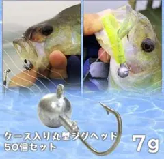 Item thumbnail for item 526b522c-411e-401e-94c8-7d4038861c47