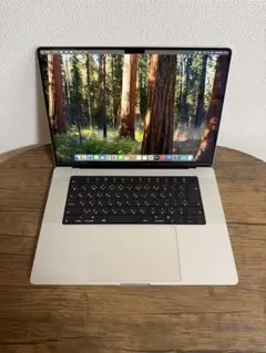 MacBook Pro M1 Max 16インチ 64GB 2TB MacBook Pro 16インチ Apple M1 Maxチップ搭載モデル[2021年モデル/SSD
