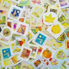 aki様 リクエスト 3点 まとめ商品