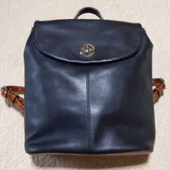 ソメスサドル　黒色レザー　ターンロック　リュック