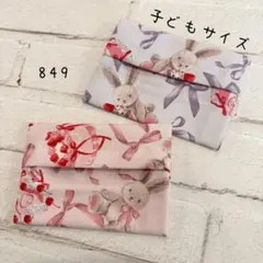 【849】ミニサイズ　ポケットティッシュケース　２個セット