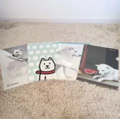 SoftBank☆お父さんクリアファイル☆4枚セット