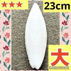 Item thumbnail for item 9f75640a-dfa0-4bf1-b80c-642e8fe9f49d