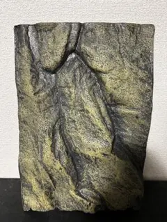 2026年最新】エキゾテラ グラステラリウム 3045の人気アイテム - メルカリ