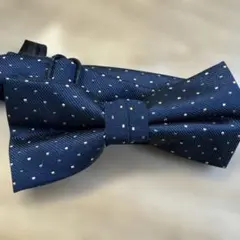 Item thumbnail for item 5bbe1782-0c8d-4be3-989f-af174aaa7201