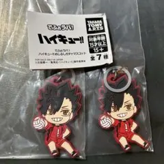 ハイキュー　でふぉらば　めじるしチャーム　黒尾鉄郎　2個
