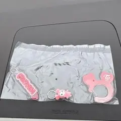 TWICELOVELYSアクリルカラビナフロッキーマスコットチェヨン