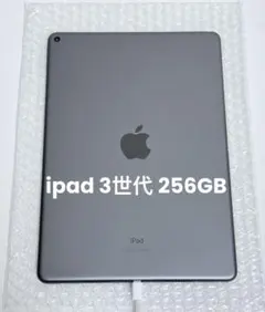 iPad Air 第3世代 256GB WIFIモデル A2152 고장·부품용
