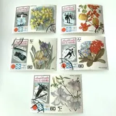 Item thumbnail for item 67dd4971-759e-4f3a-a9ff-602efc9f6047