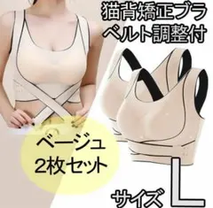 Item thumbnail for item 272be279-9eb5-4281-8a9d-2ad8095ab5b7