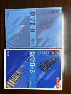 数学IIB青チャート