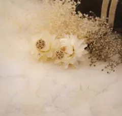 新品未使用 豹柄 アニマル柄 ストーン付き ピアス ゴールド ワンポイント