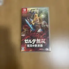 【Nintendo Switch版】ゼルダ無双　厄災の黙示録　スイッチ