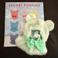 ディズニーストア ディズニーユニベアシティ シークレットポンチョ 緑