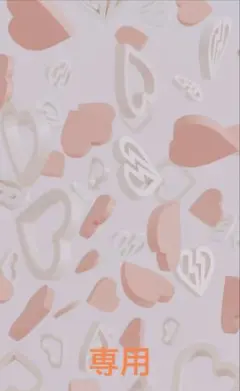 【専用】