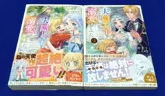 夫の隠し子を見つけたので、溺愛してみた。1・2