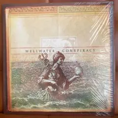 【美品】Wellwater Conspiracy 希少レコード★送料無料