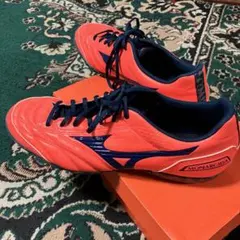 MIZUNO ミズノ　モナルシーダ　トレーニングシューズ　フットサルシューズ