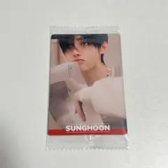 ENHYPEN ソンフン ウエハース シール