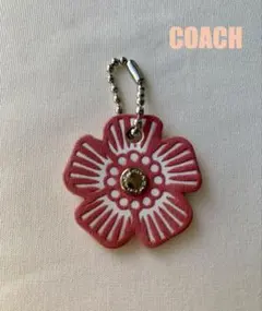2026年最新】coach ティーローズの人気アイテム - メルカリ