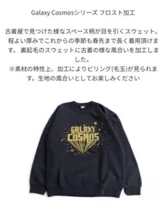 SCREEN STARS 別注 GalaxyCosmos スウェット